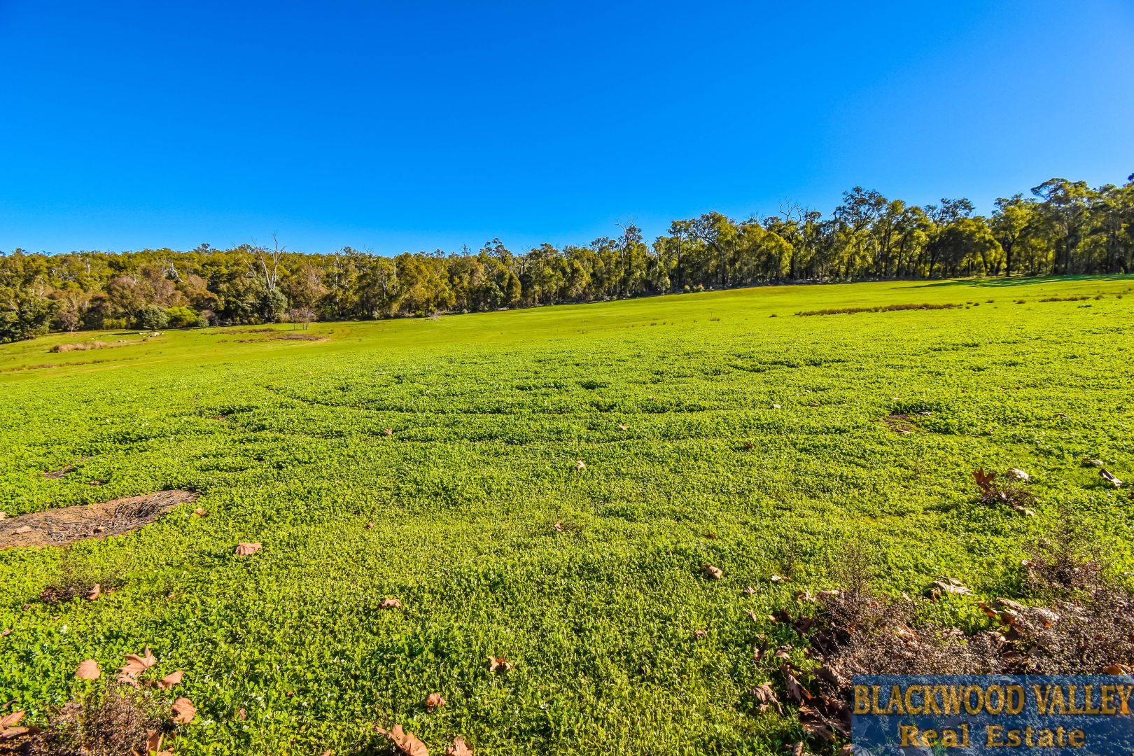 Lot Proposed 399 Lakeview Crescent, Bridgetown WA 6255, Image 2