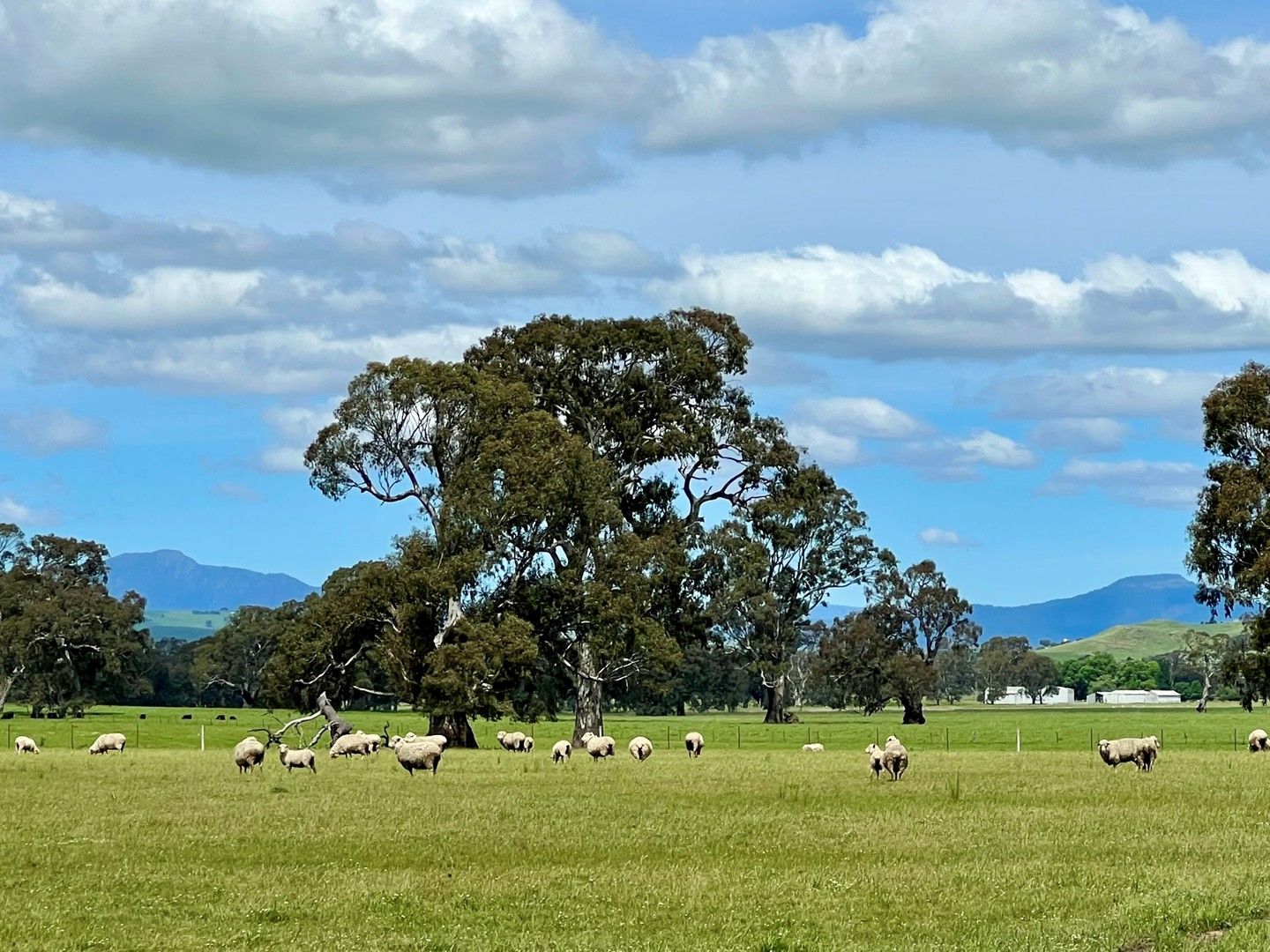 Vacant land in , MANSFIELD VIC, 3722