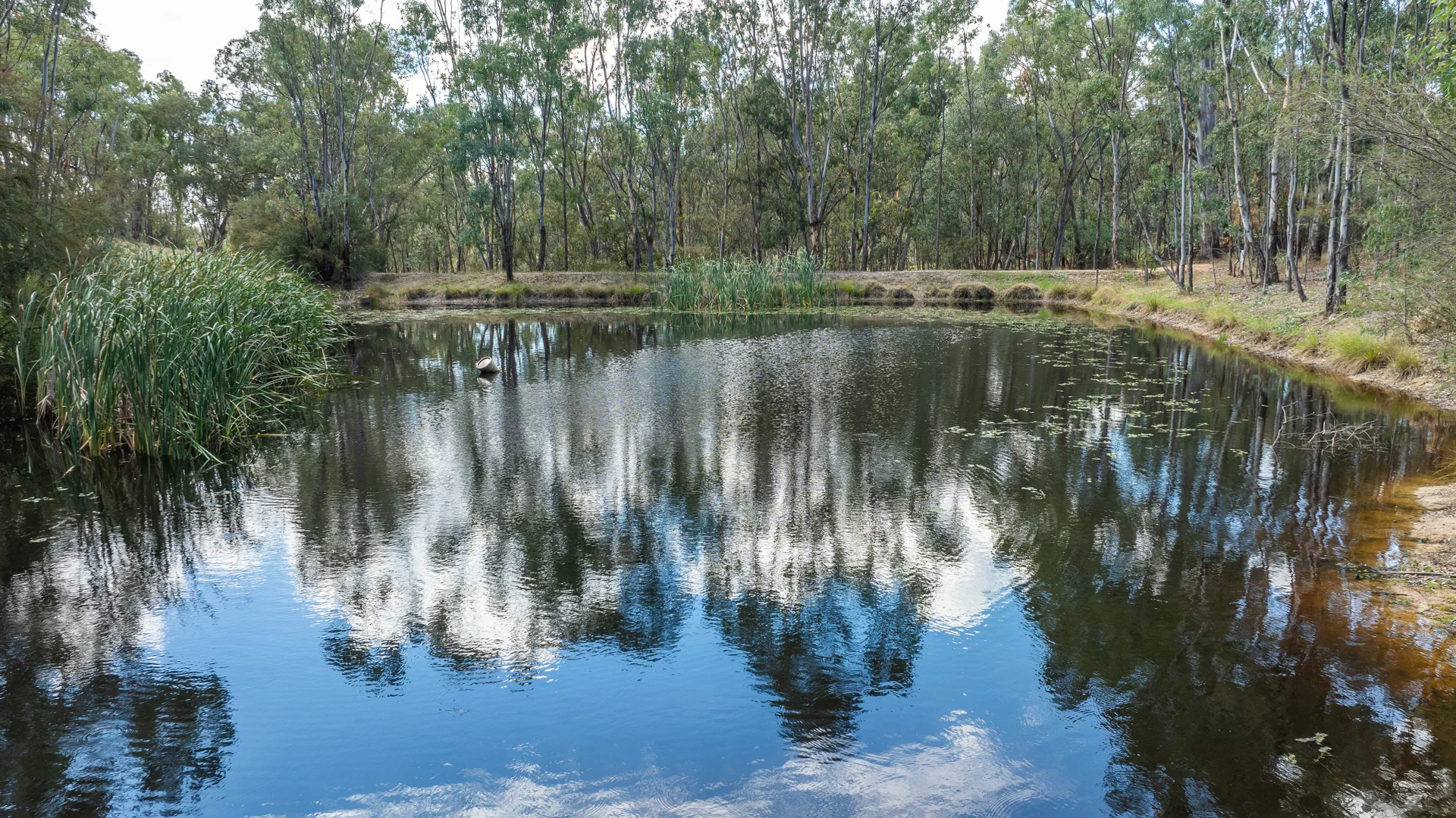 Additional image 25 of 118 Mahon Lane, Yackandandah VIC 3749