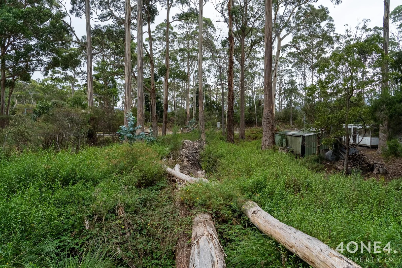 Additional image 21 of 334 Blowhole Road, Eaglehawk Neck TAS 7179