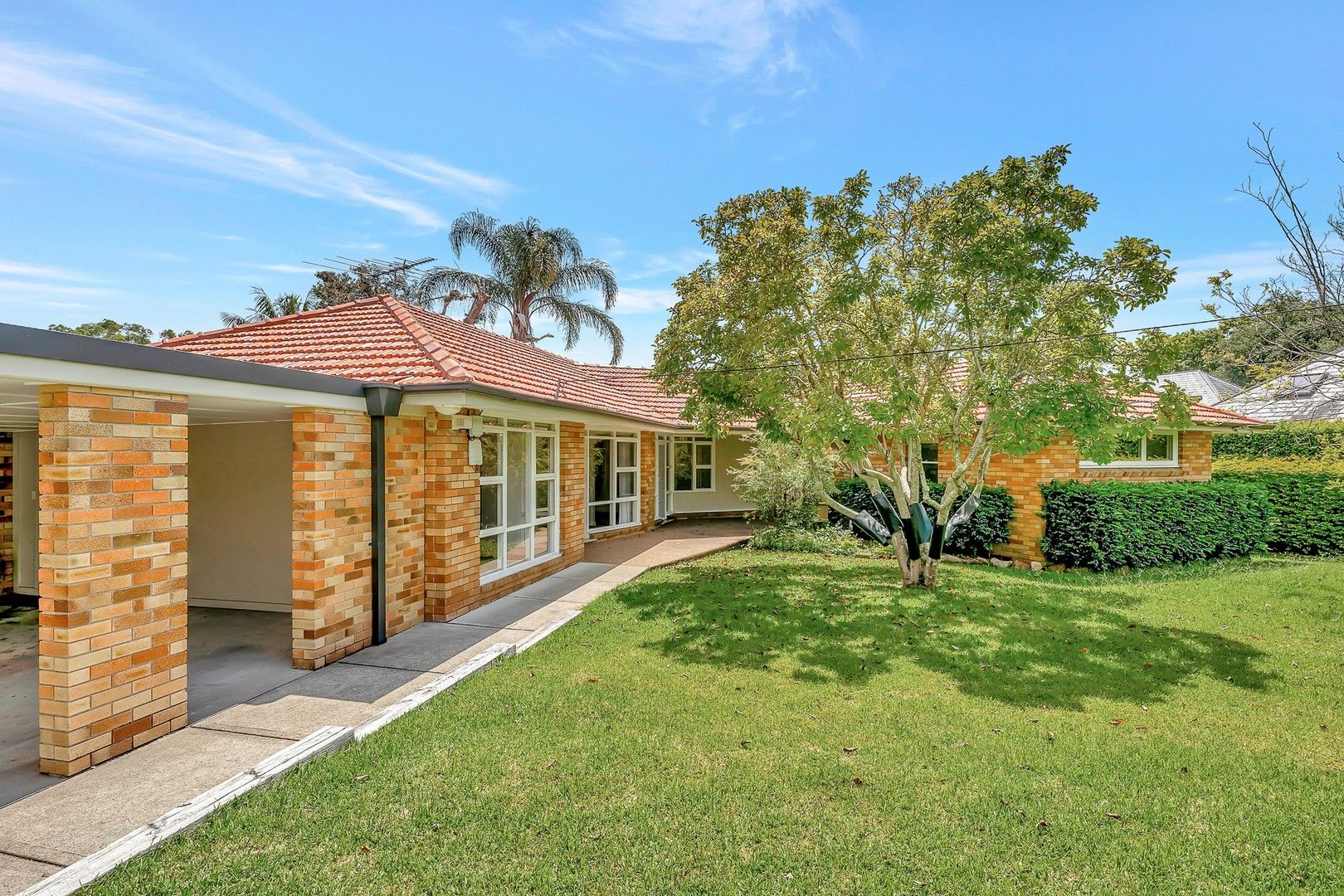 19 Abuklea Road, Epping NSW 2121 House For Rent Domain