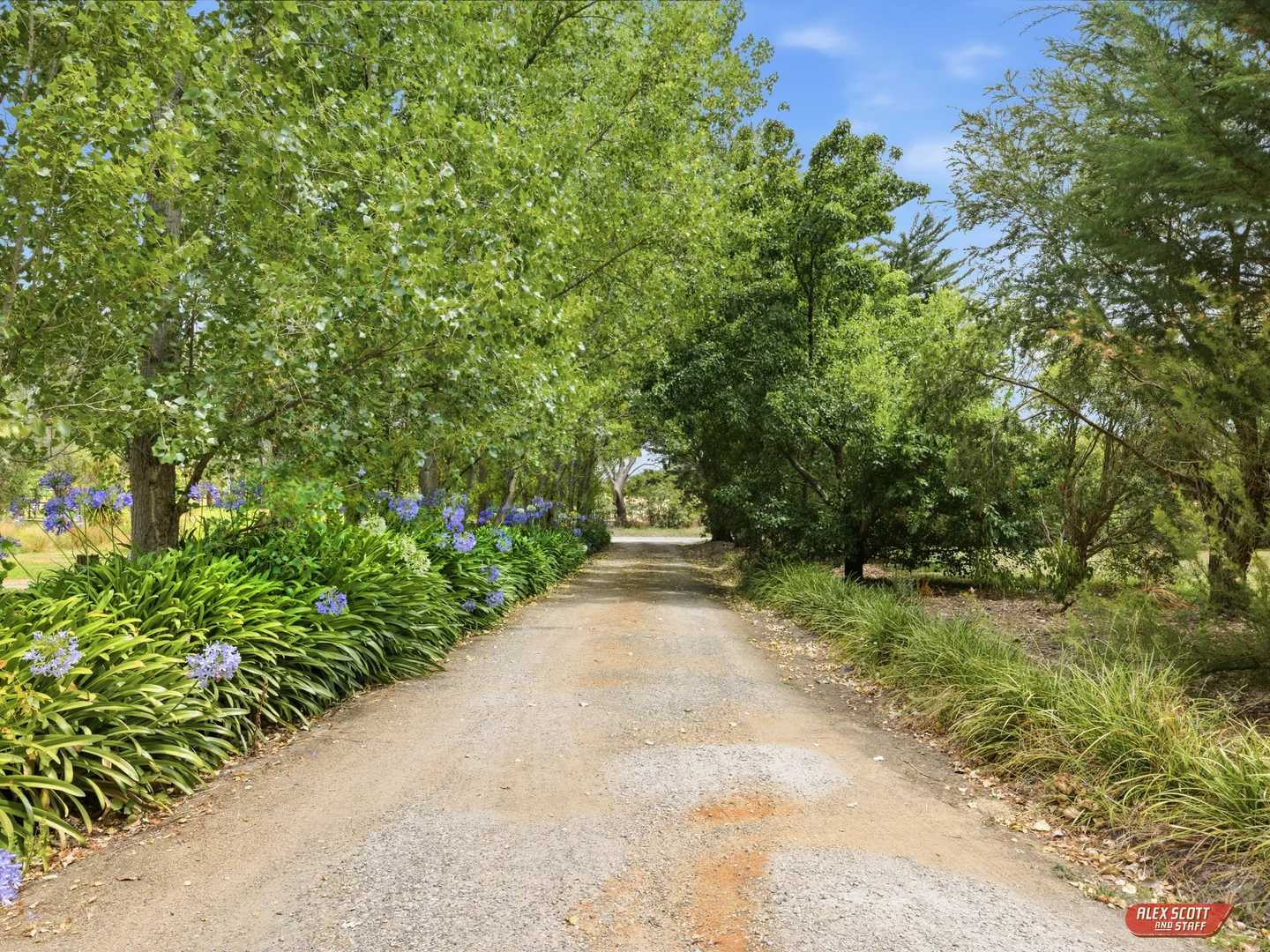 Image 39