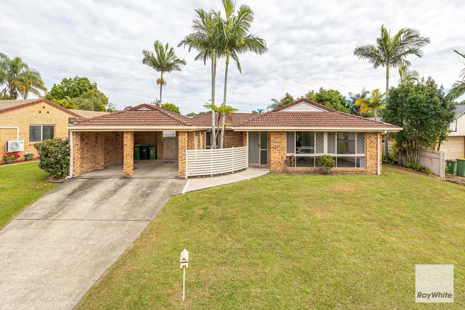 43 Riesling Street, Thornlands QLD 4164, Image 0