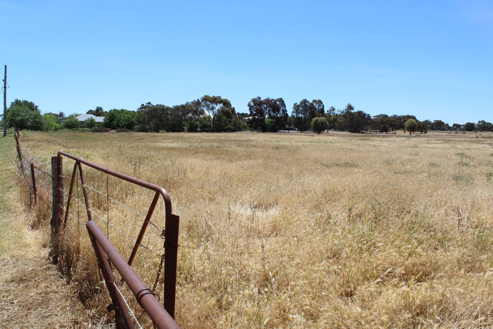 20 Madden Street, Nhill VIC 3418, Image 1