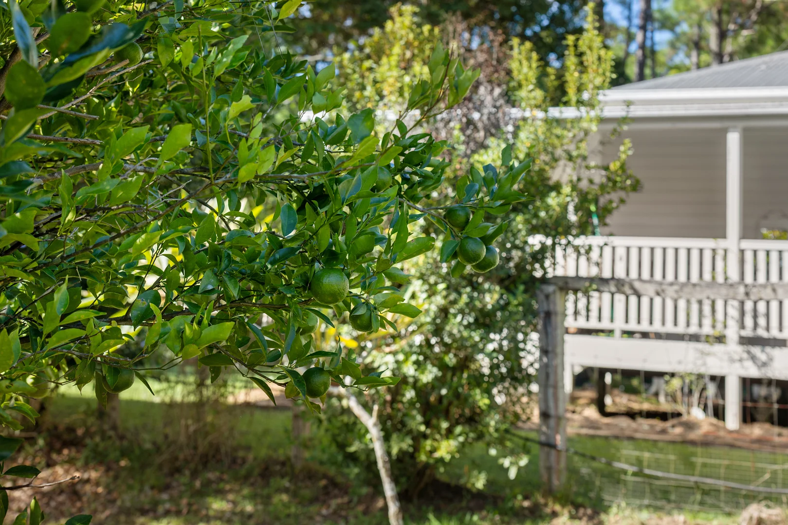 Additional image 28 of 62 Old Mill Road, Carters Ridge QLD 4563