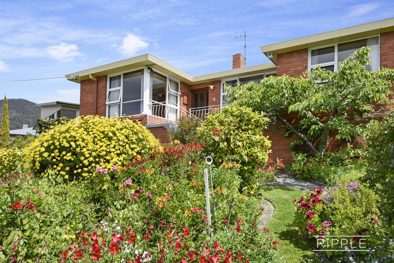 12 Kinarra Crescent, Chigwell TAS 7011, Image 1