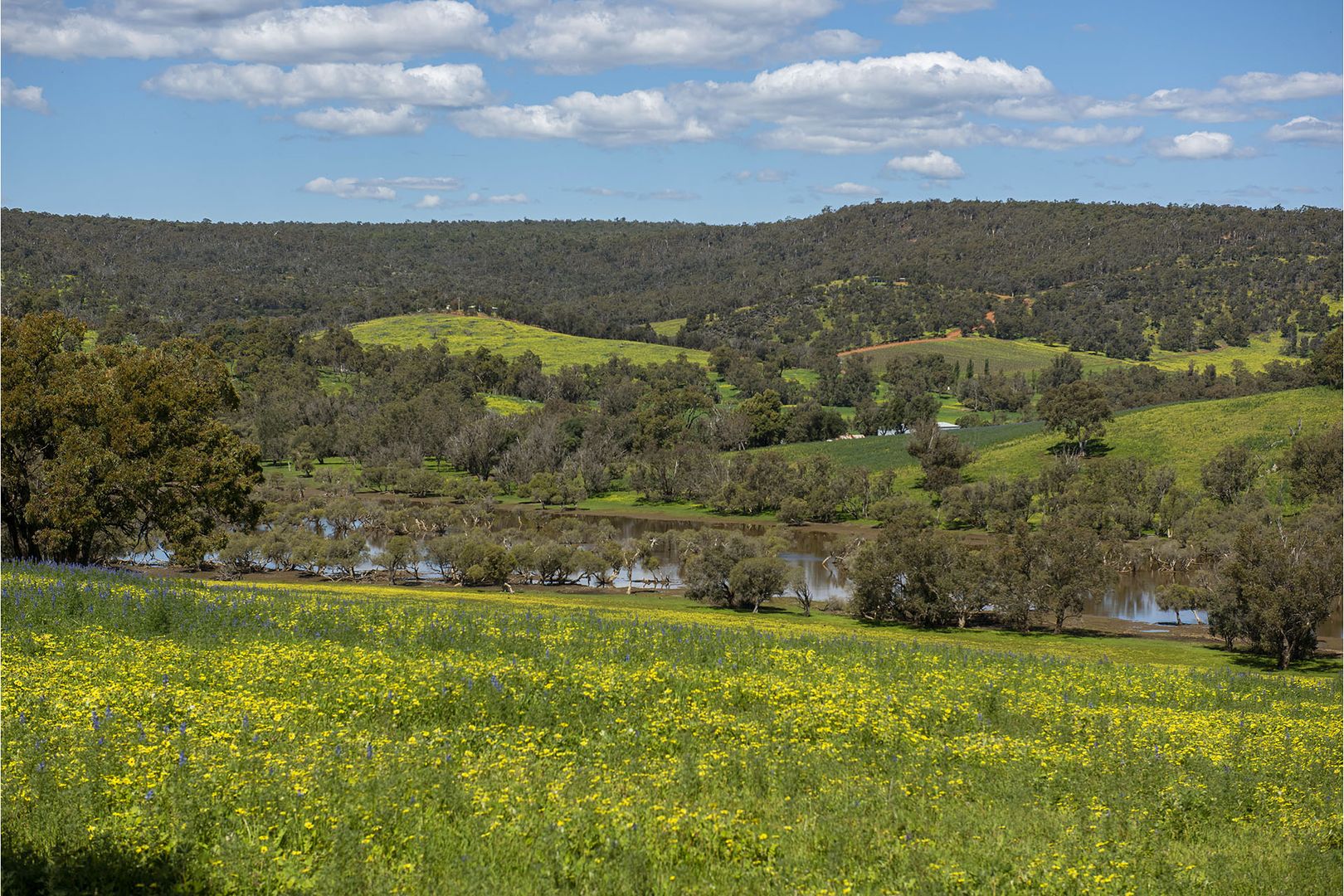 545 Chittering Valley Road, Lower Chittering WA 6084, Image 2