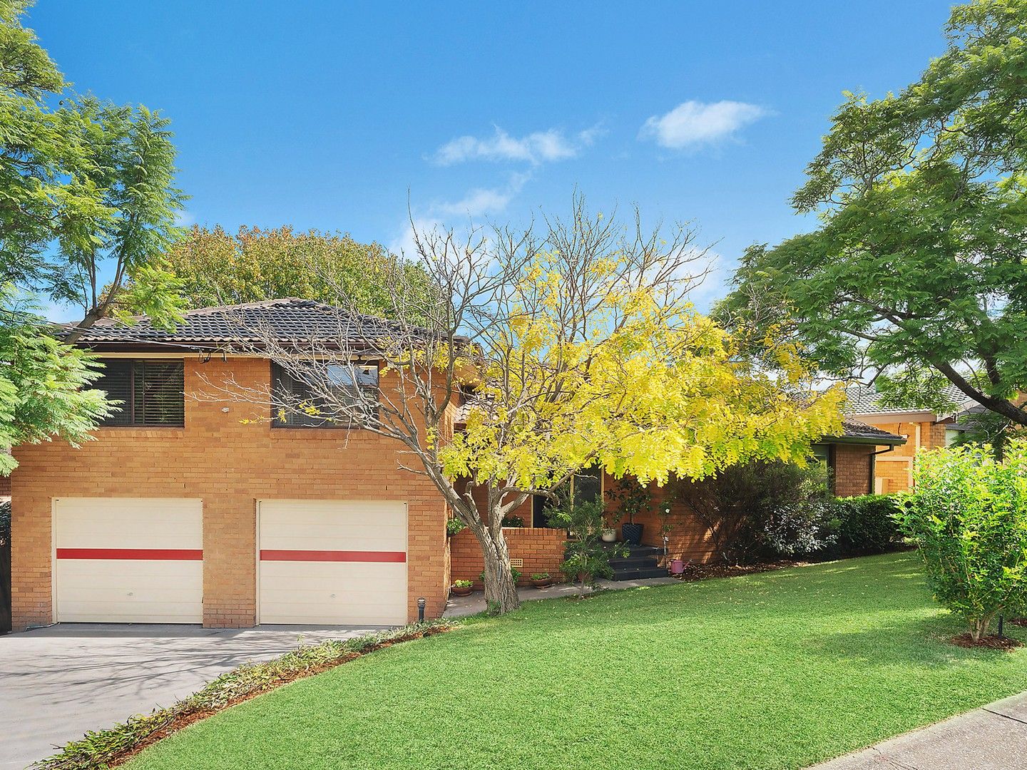 26 Torrington Drive, Marsfield NSW 2122, Image 0