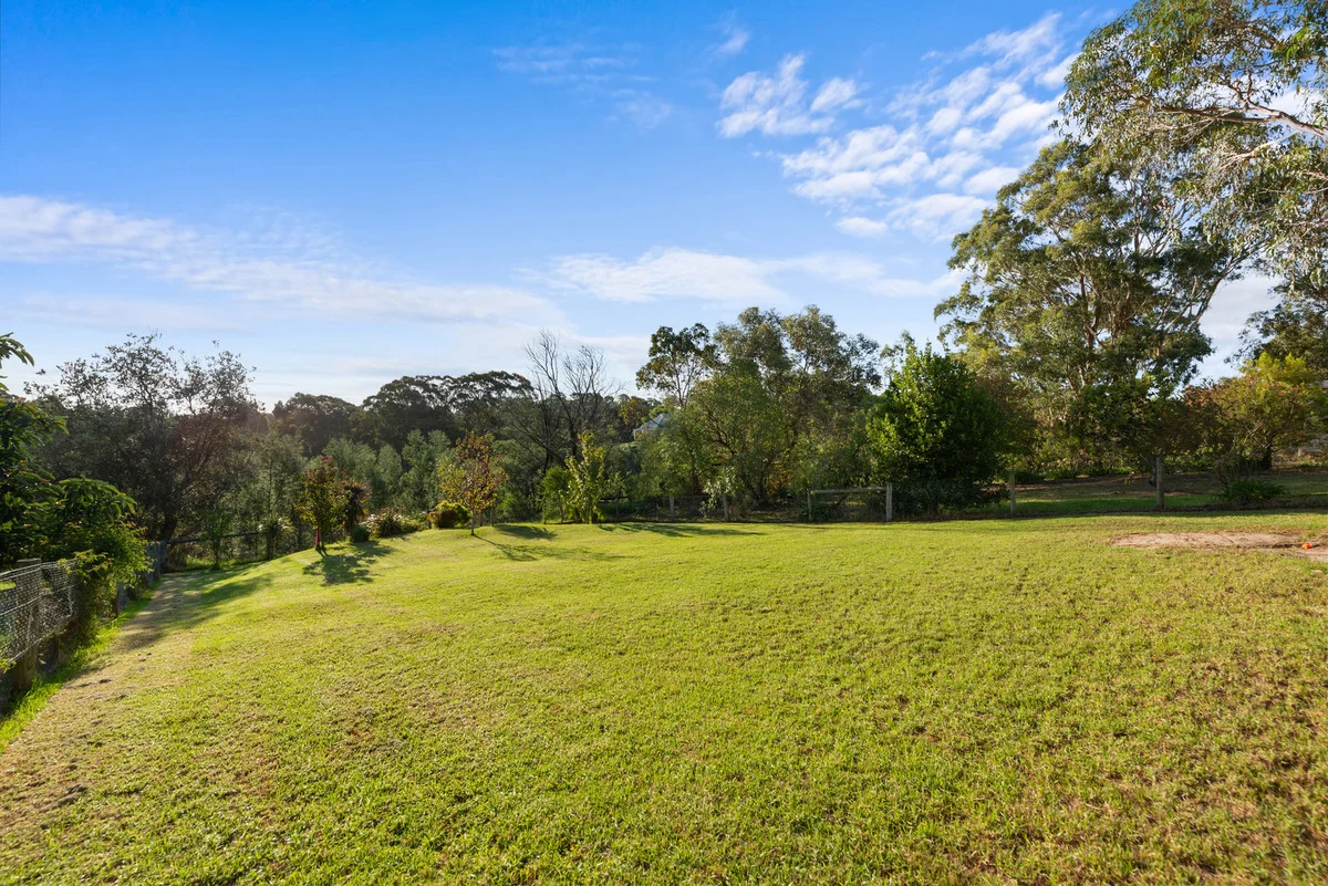 Image 13