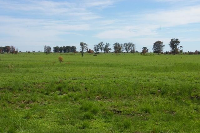 0 Texas-Yelarbon Road, Beebo QLD 4385, Image 2