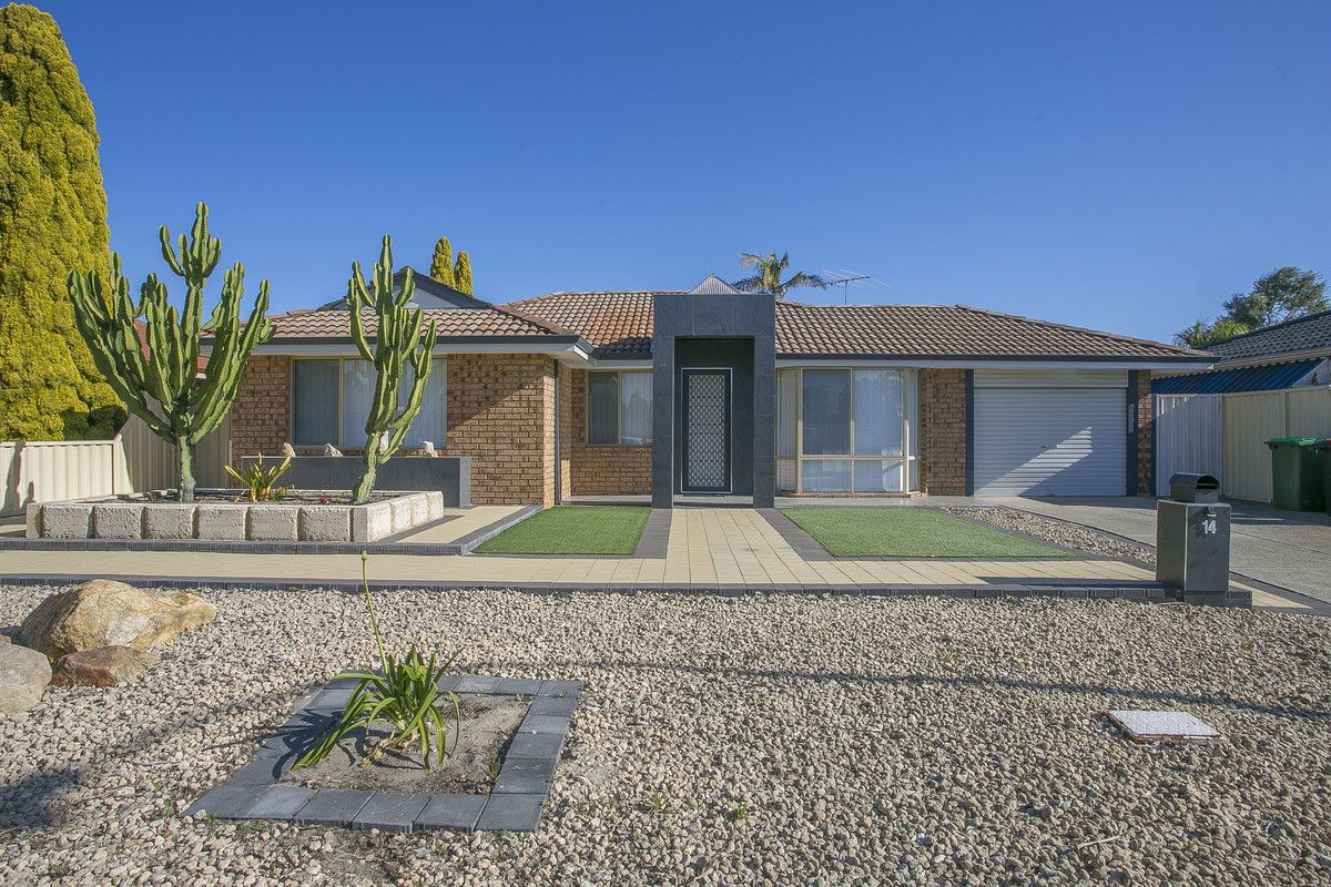 14 Aerial Place, Morley WA 6062 House For Rent 560 Domain