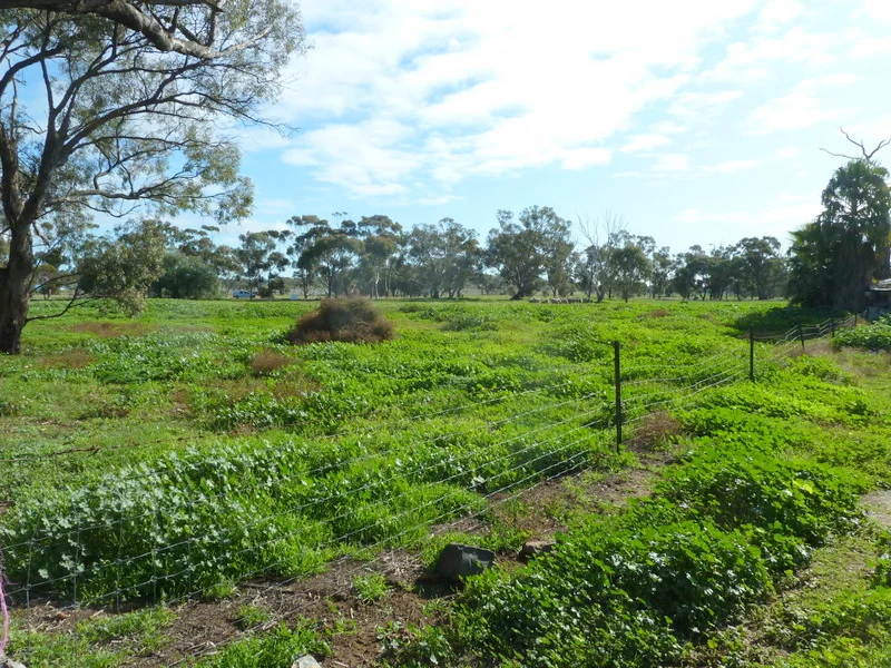Image 11