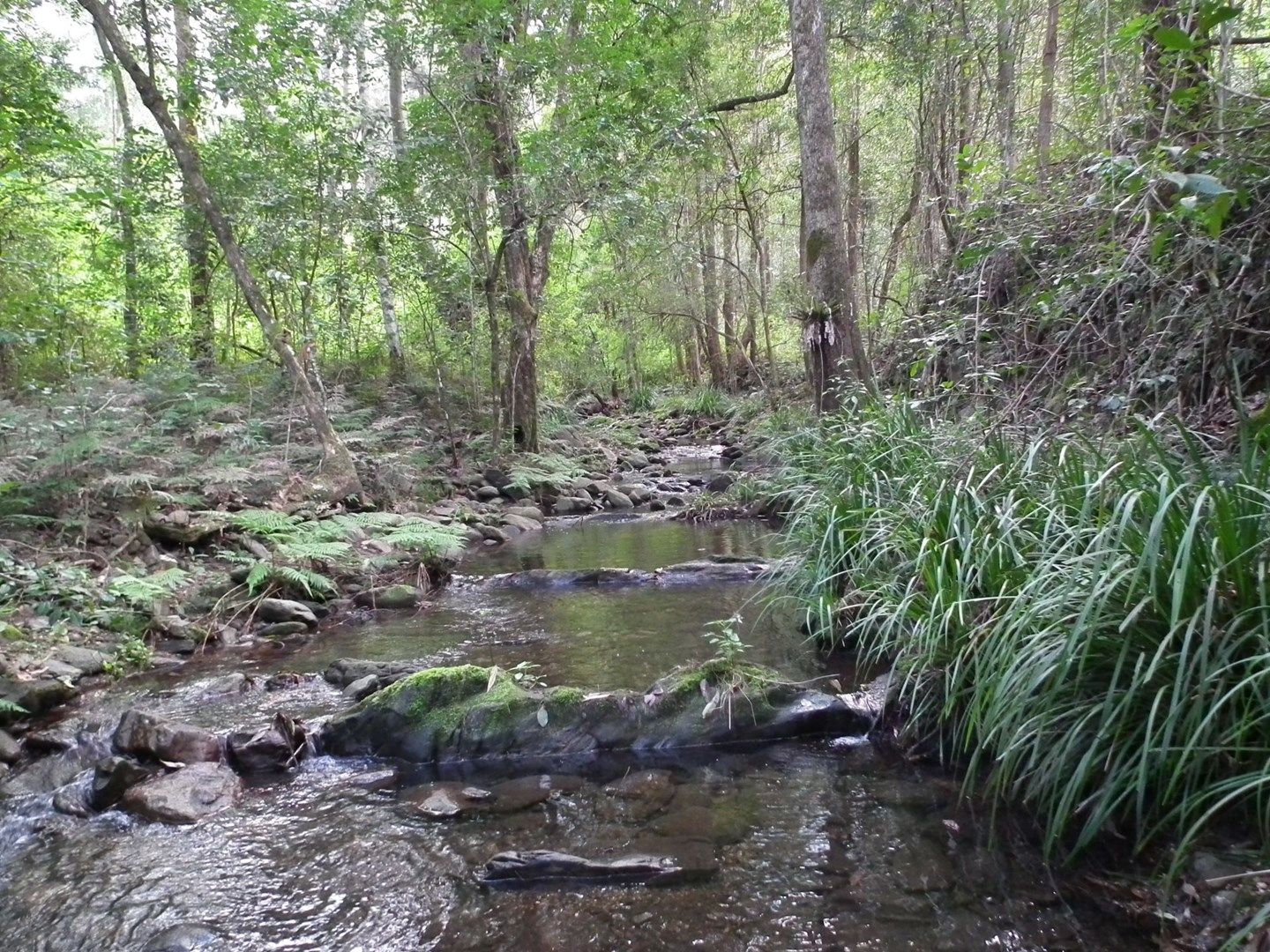 Lower Creek NSW 2440, Image 0