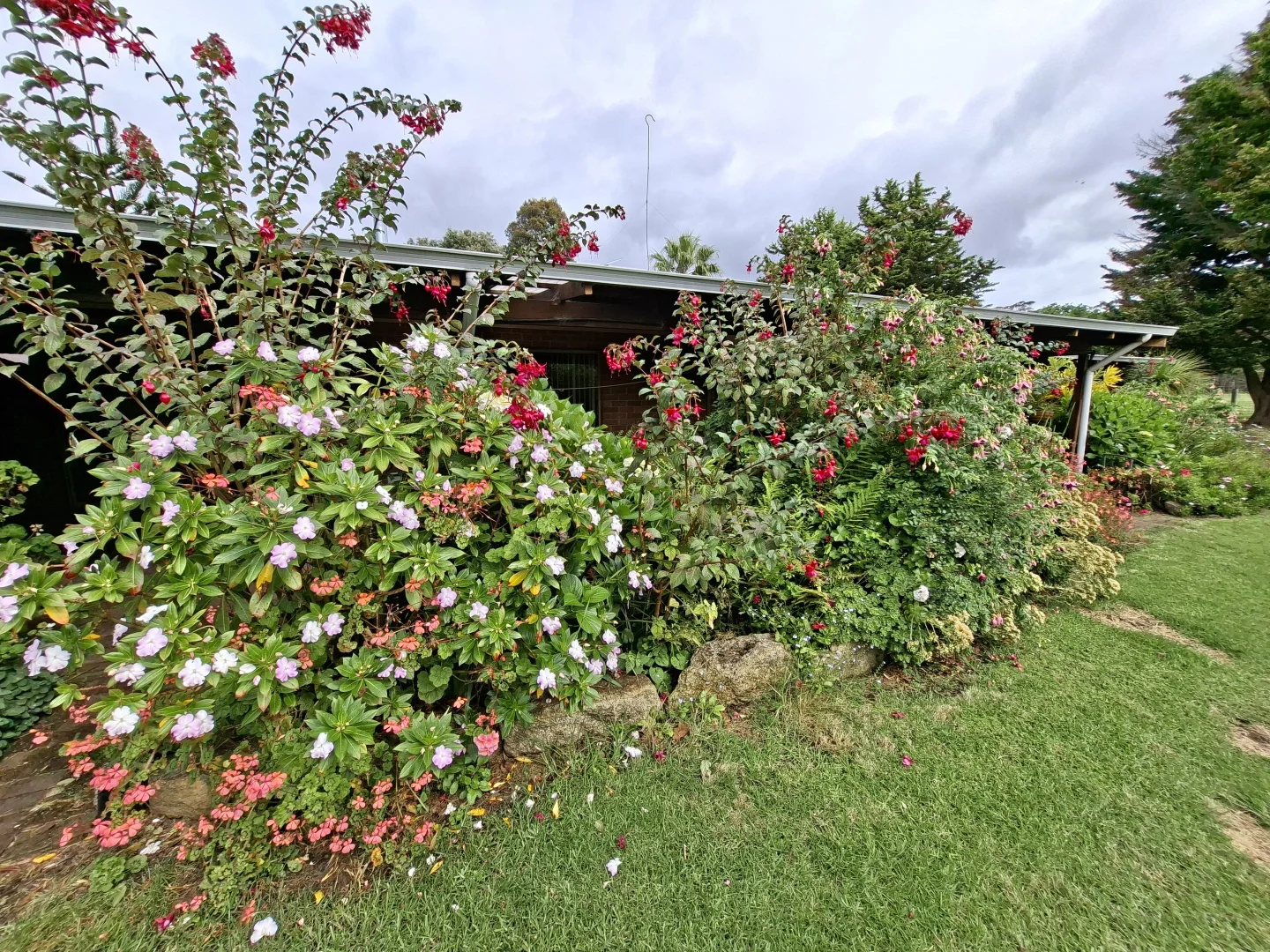 Image 26