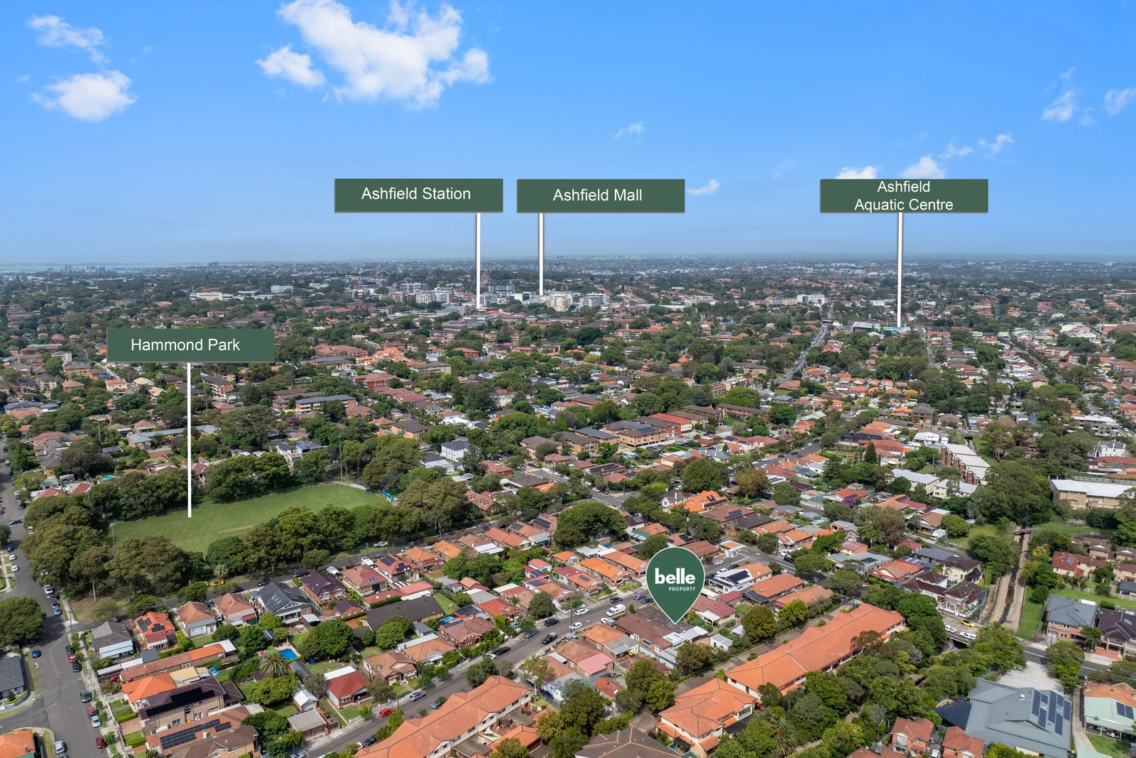 Additional image 18 of 8 Knocklayde Street, Ashfield NSW 2131