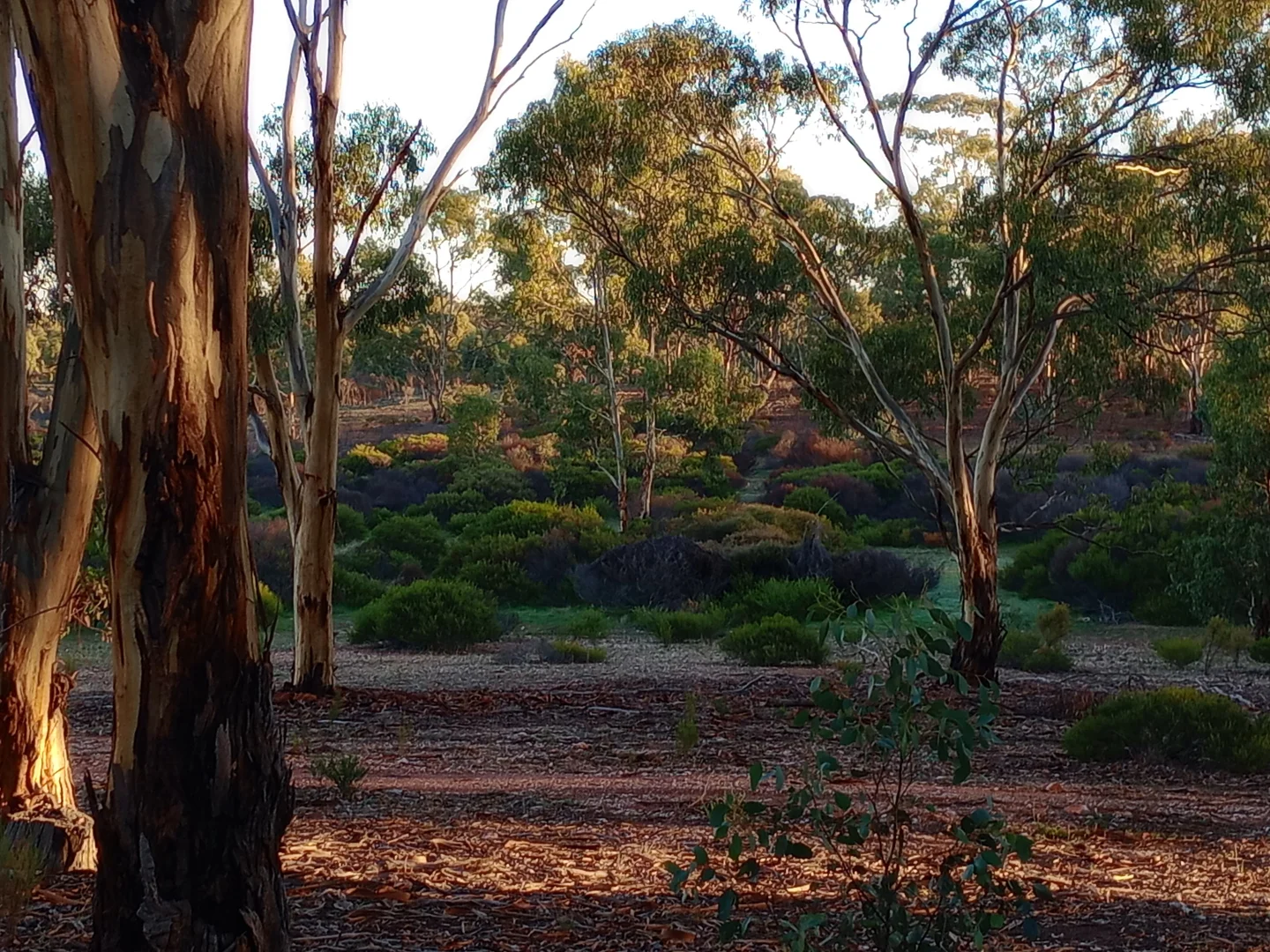 Additional image 32 of Wedderburn VIC 3518