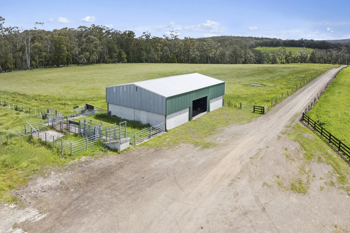 Image 21