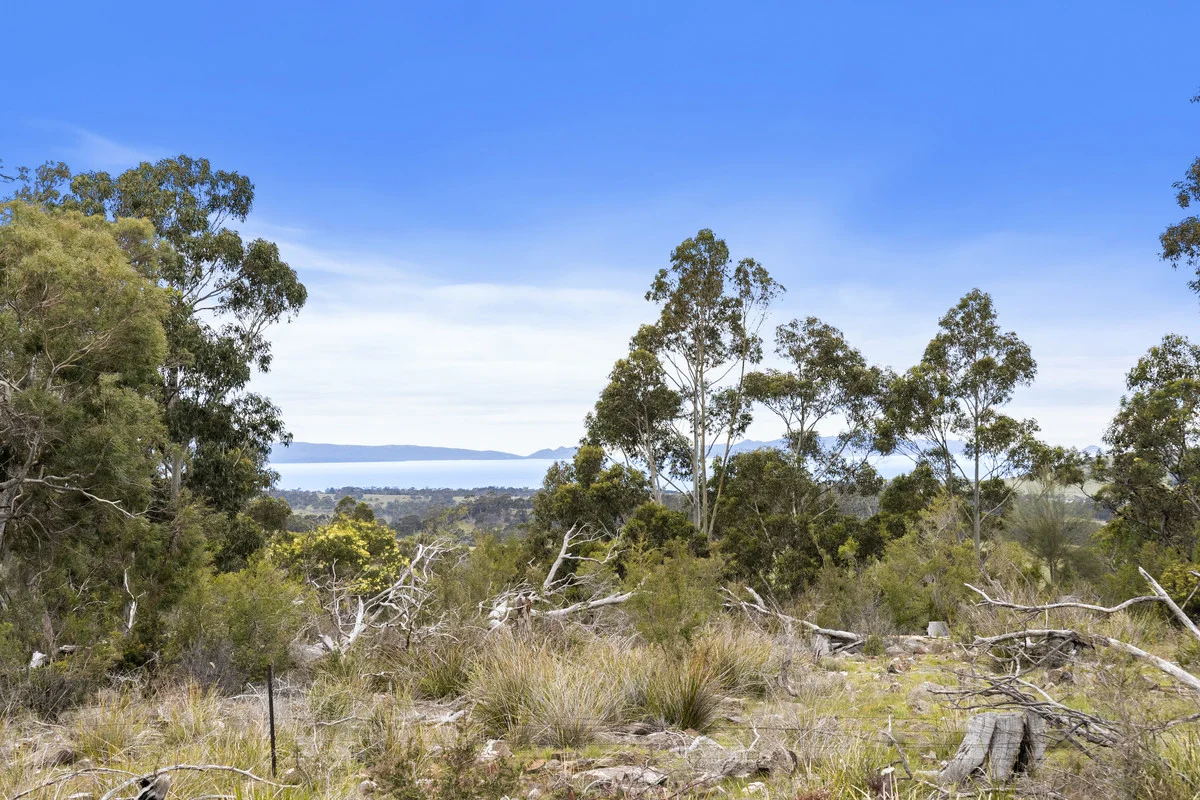 Additional image 8 of 4/194 Bresnehans Road, Little Swanport TAS 7190