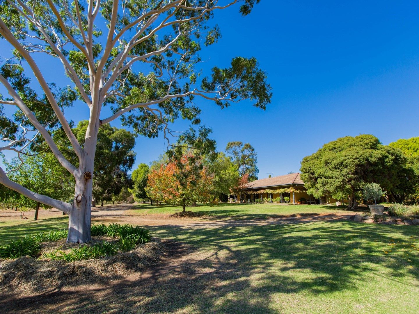 25 Cummins Drive, San Isidore NSW 2650, Image 0