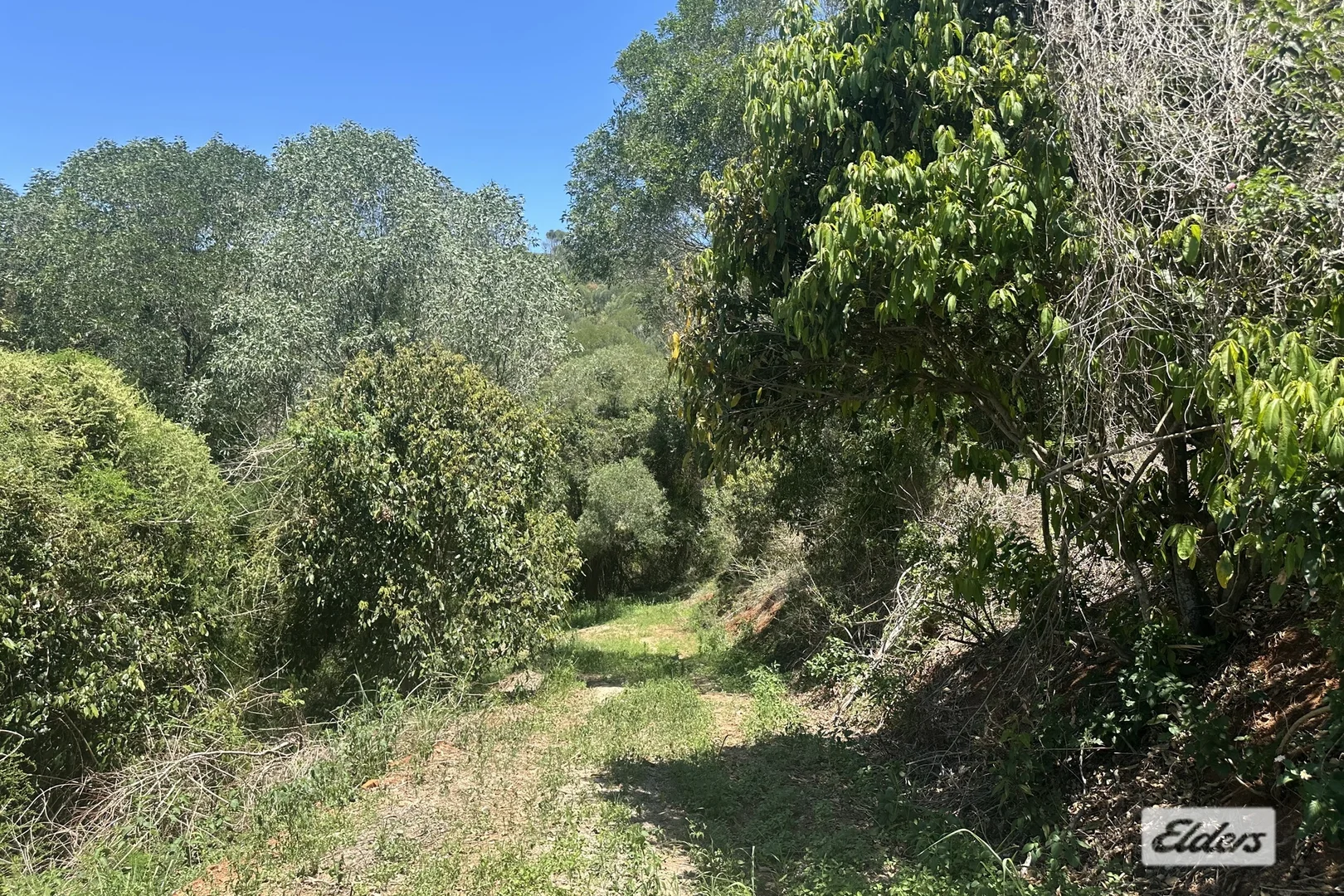 Image 21