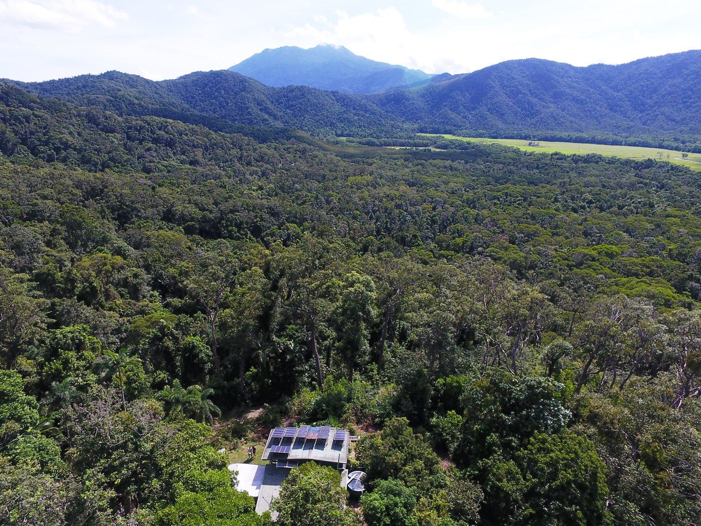 63 Old Forest Creek Road, Daintree QLD 4873, Image 0