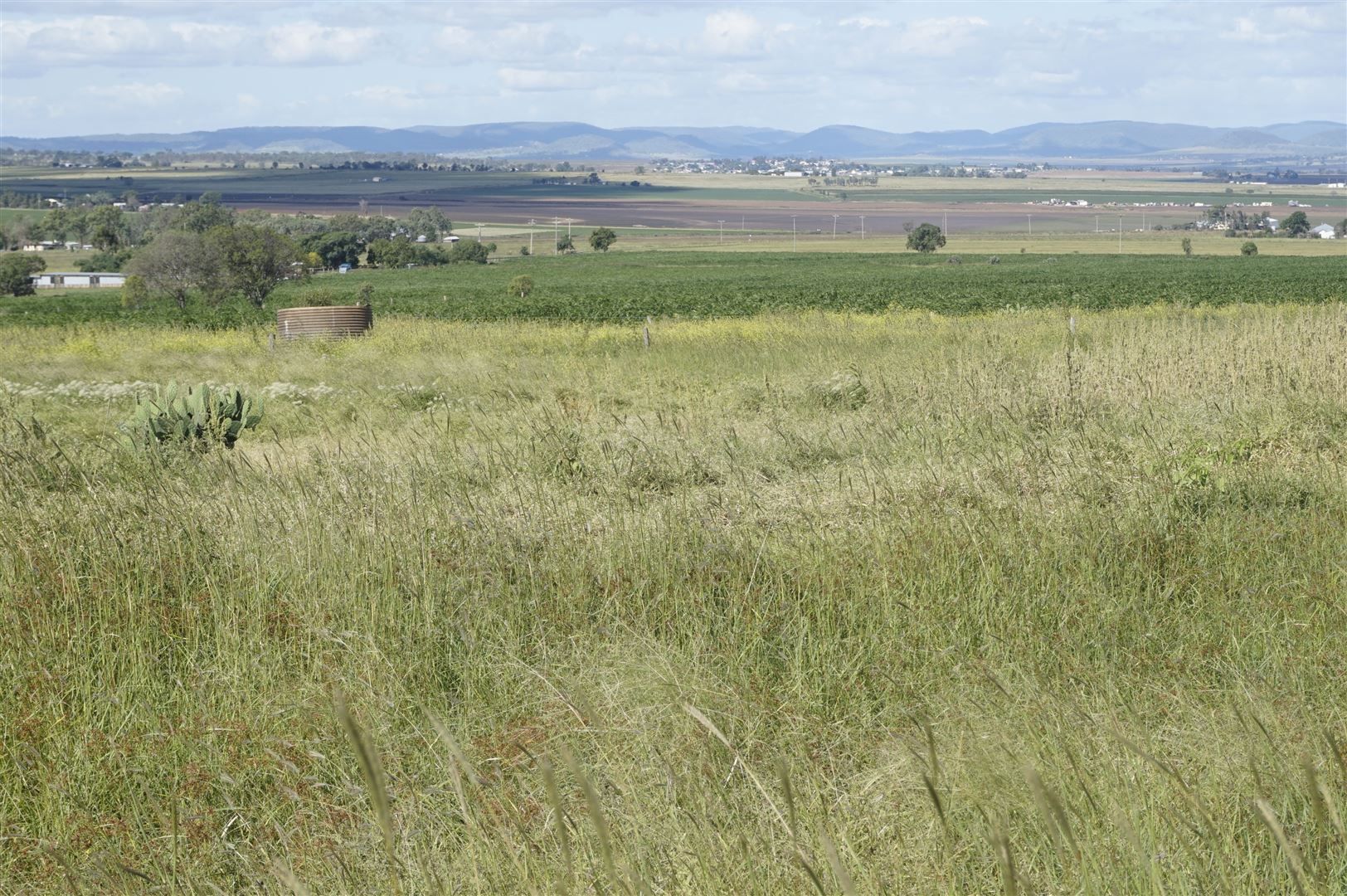 Nobby QLD 4360, Image 2