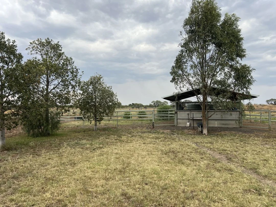 Image 20
