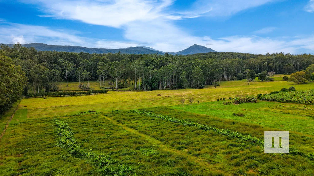 Additional image 19 of 200 Coopernook Forest Way, Lansdowne Forest NSW 2430