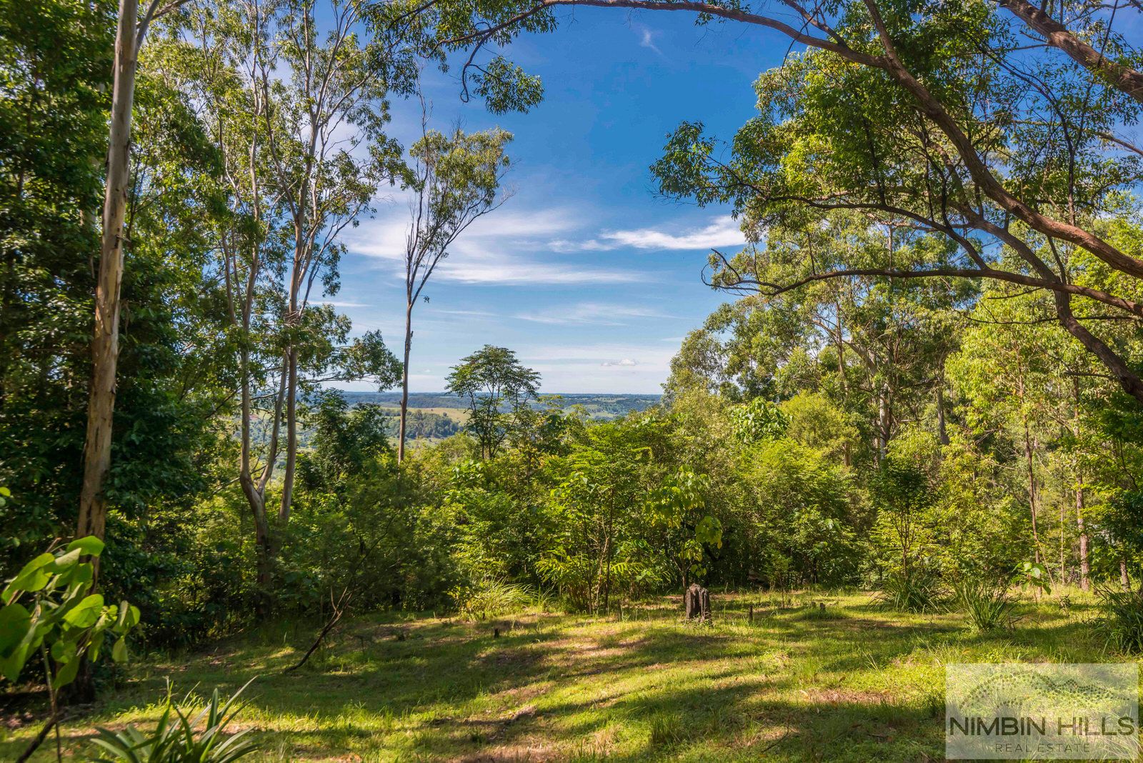 487 Rose Road, Tuntable Creek NSW 2480, Image 1