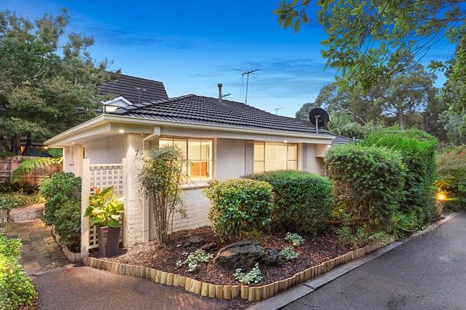 Picture of 7/27a Laburnum Street, BLACKBURN VIC 3130