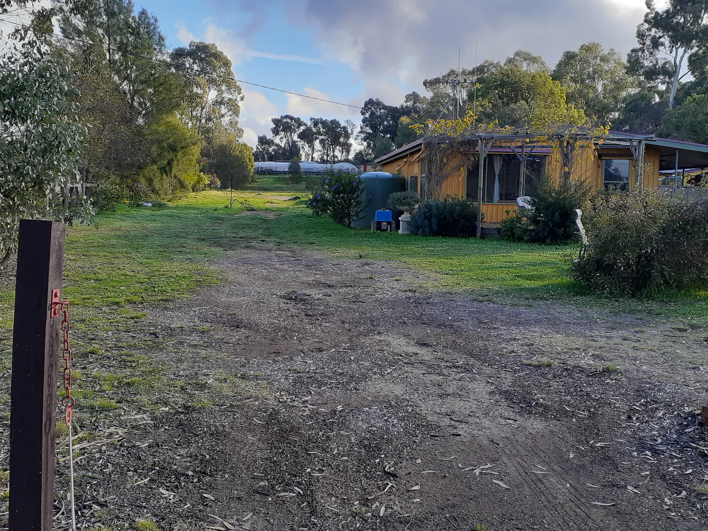 Image 19