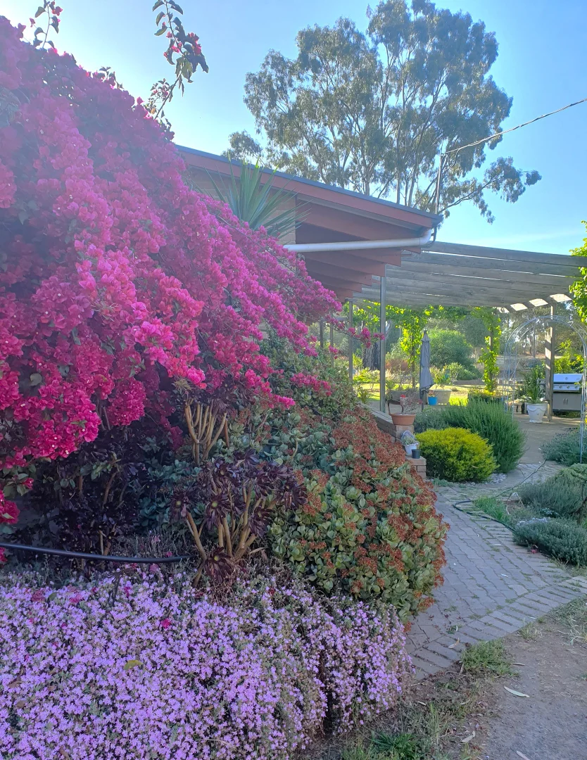 Image 15