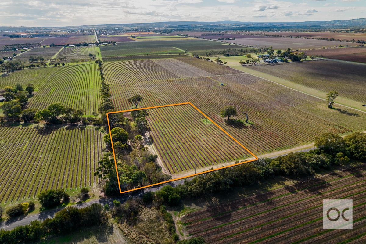 Lot 200 Malpas Road, Mclaren Vale SA 5171, Image 2