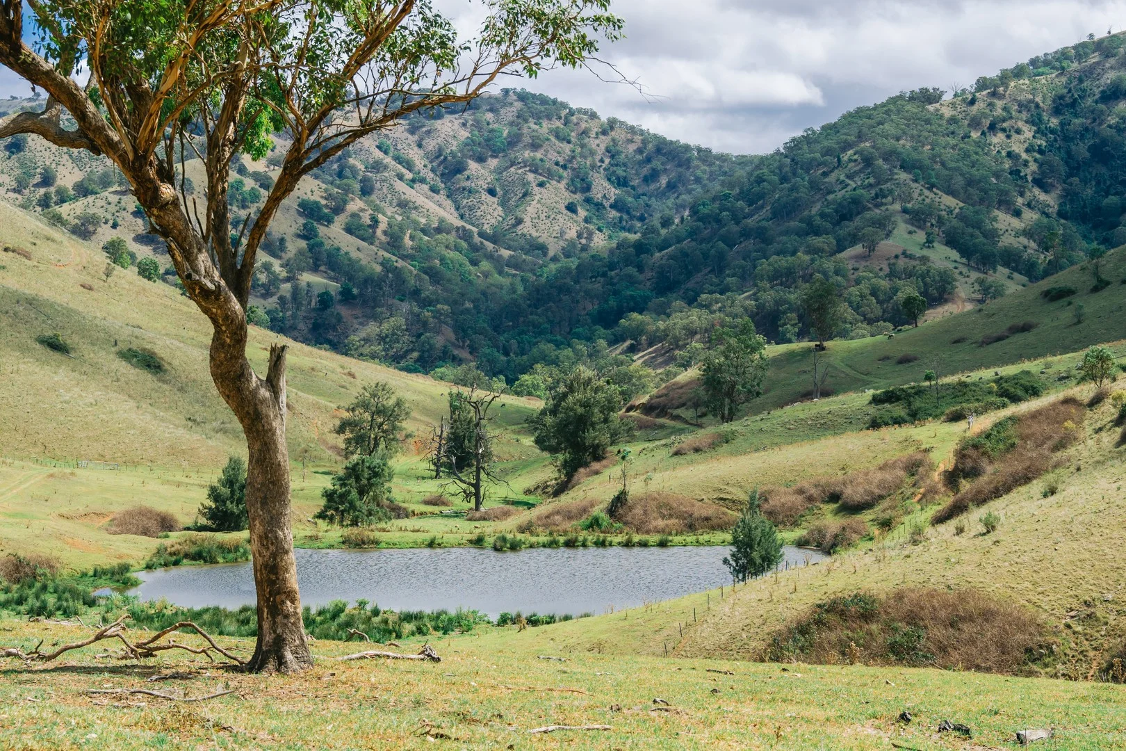 1746 Stewarts Brook Rd, Stewarts Brook NSW 2337