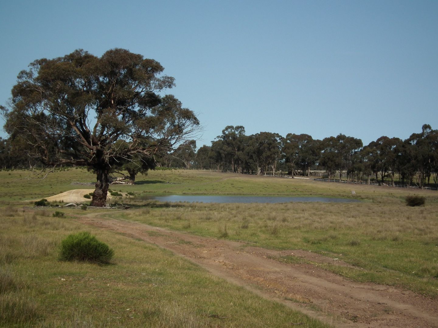 "Dwyers" Snipey Road, Kirwans Bridge VIC 3608, Image 2