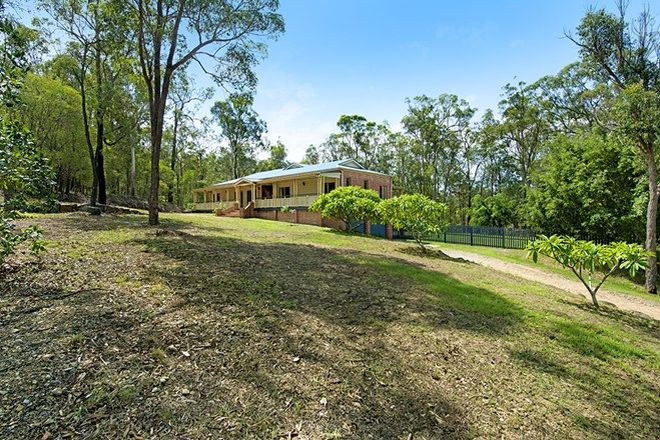 Picture of 135 BAILEYS MOUNTAIN ROAD, WILLOW VALE QLD 4209