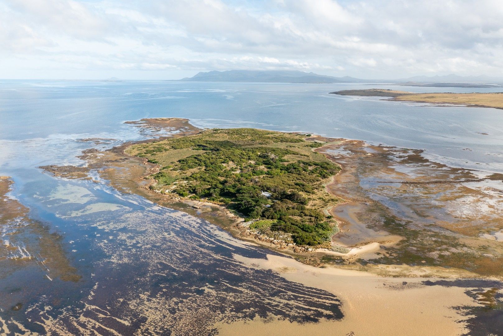 . Puncheon Island, Lady Barron TAS 7255, Image 1