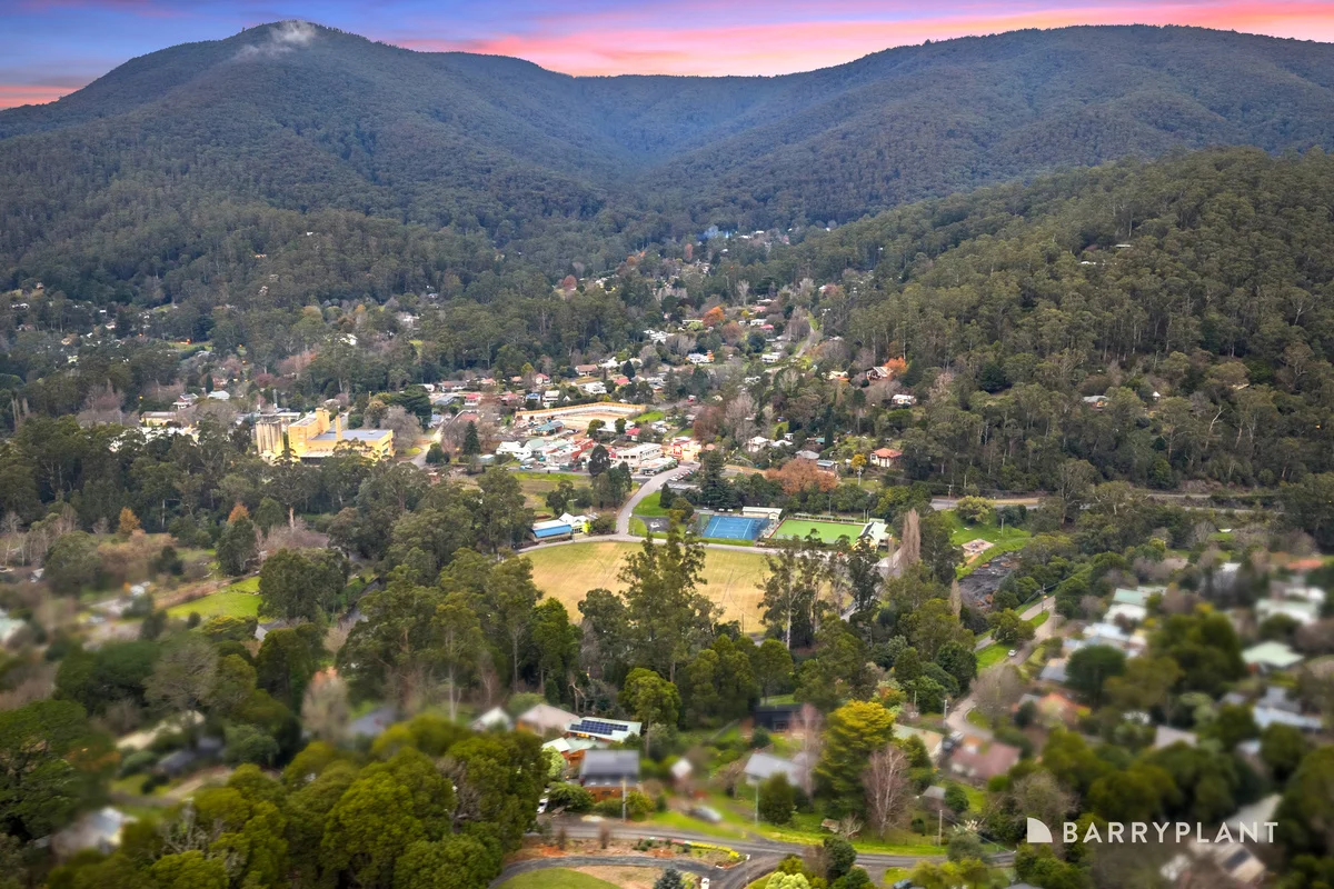 Image 9