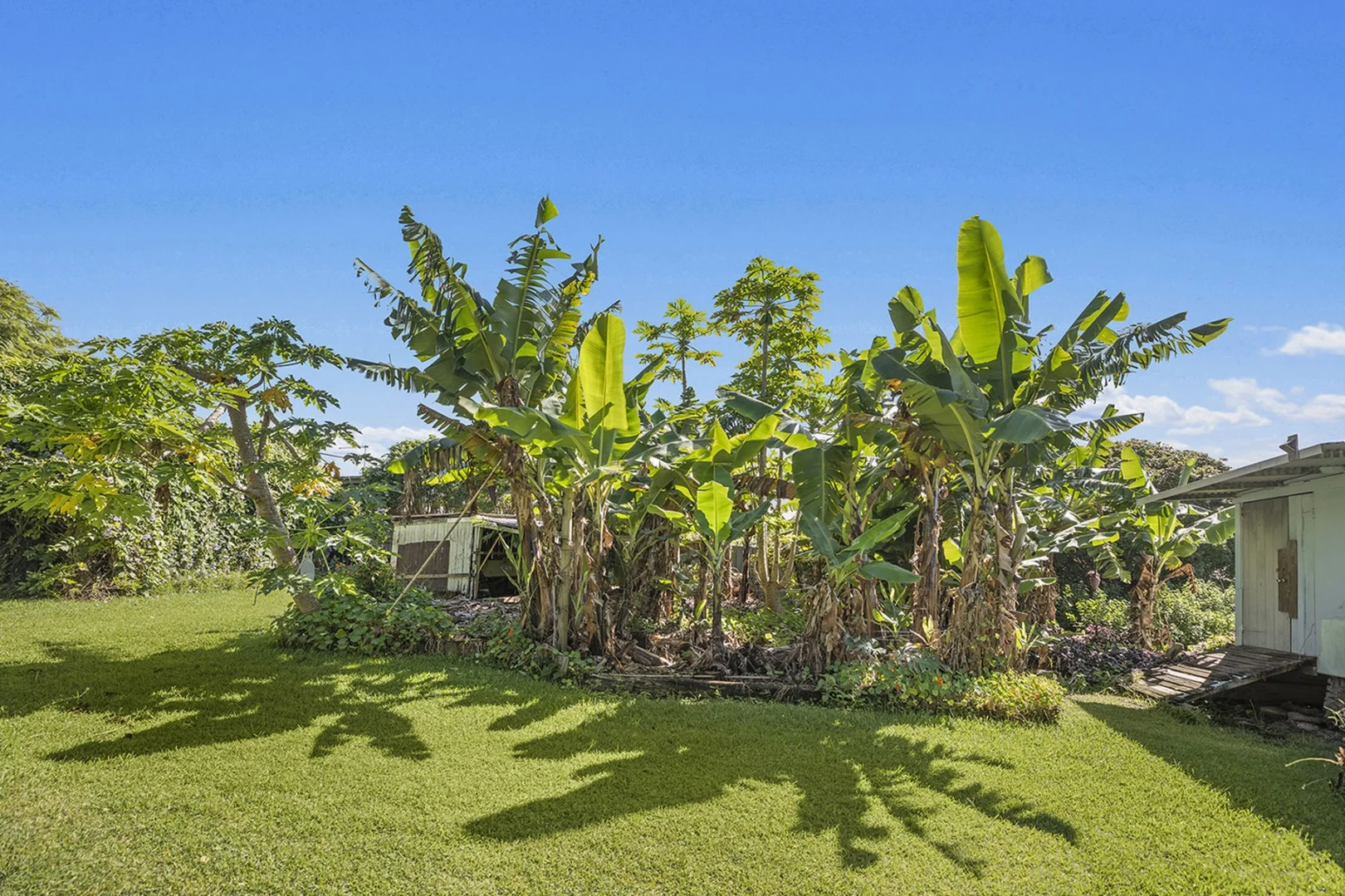 Additional image 7 of 196 Sawtell Road, Toormina NSW 2452