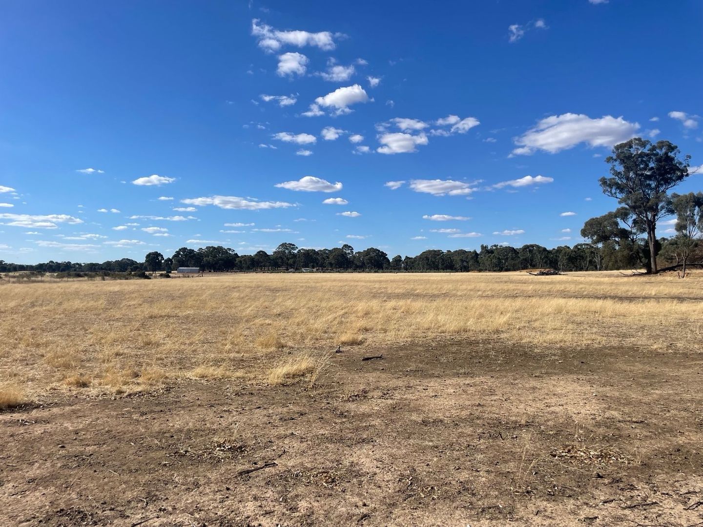 14 dixon road, Neilborough VIC 3570 Vacant Land for Sale Domain