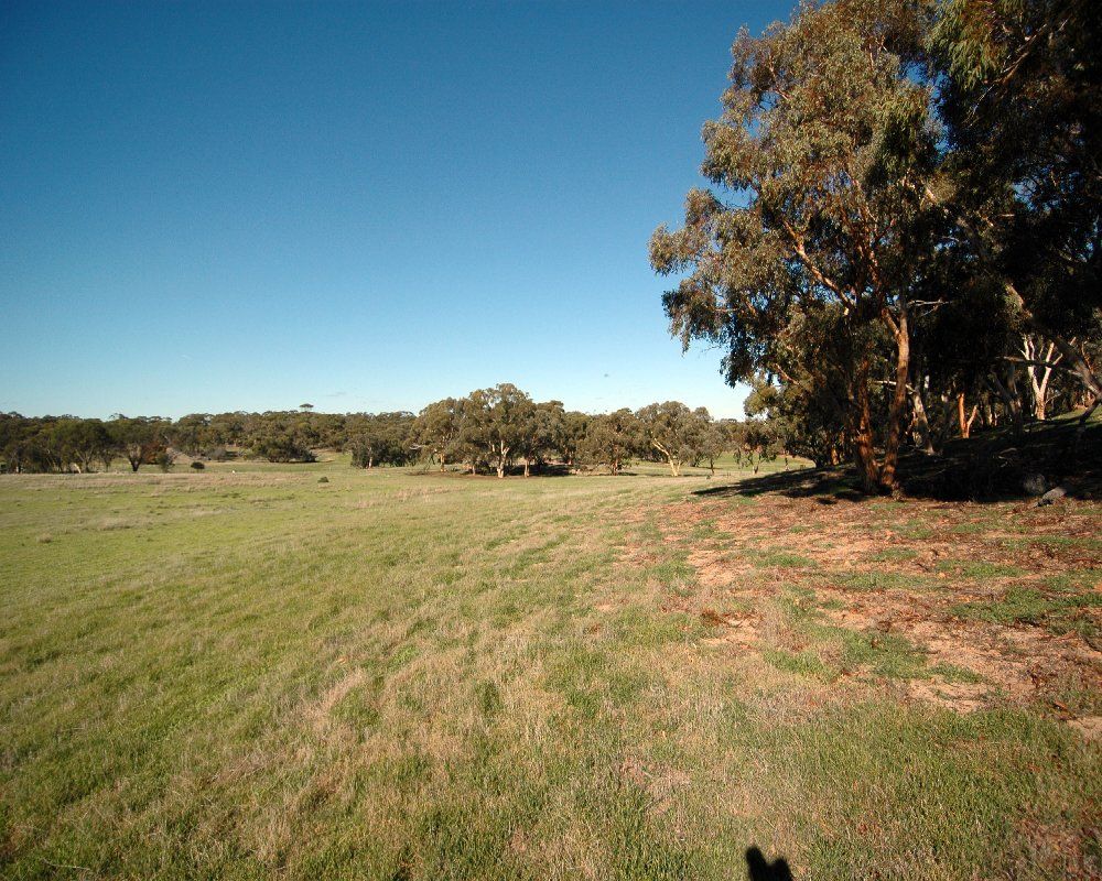 Lot 24319 MILLS ROAD, Youndegin WA 6407, Image 2