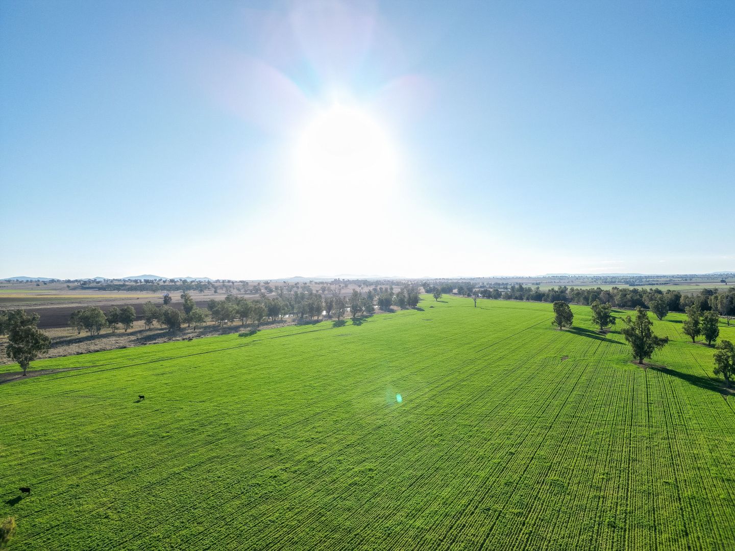 1 GRANT STREET, Somerton NSW 2340 Mixed Farming Property for Sale