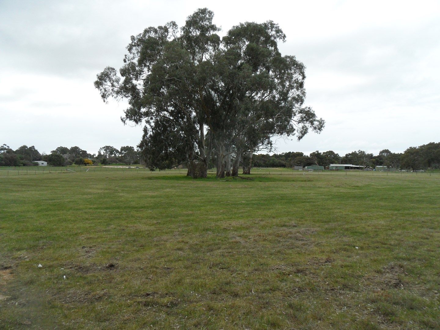 Lot 5 Balmoral Road, Cockatoo Valley SA 5351, Image 0