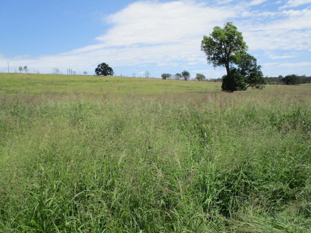 WELL GRASSED GRAZING BLOCK, Proston QLD 4613 House for Sale 2,000,000