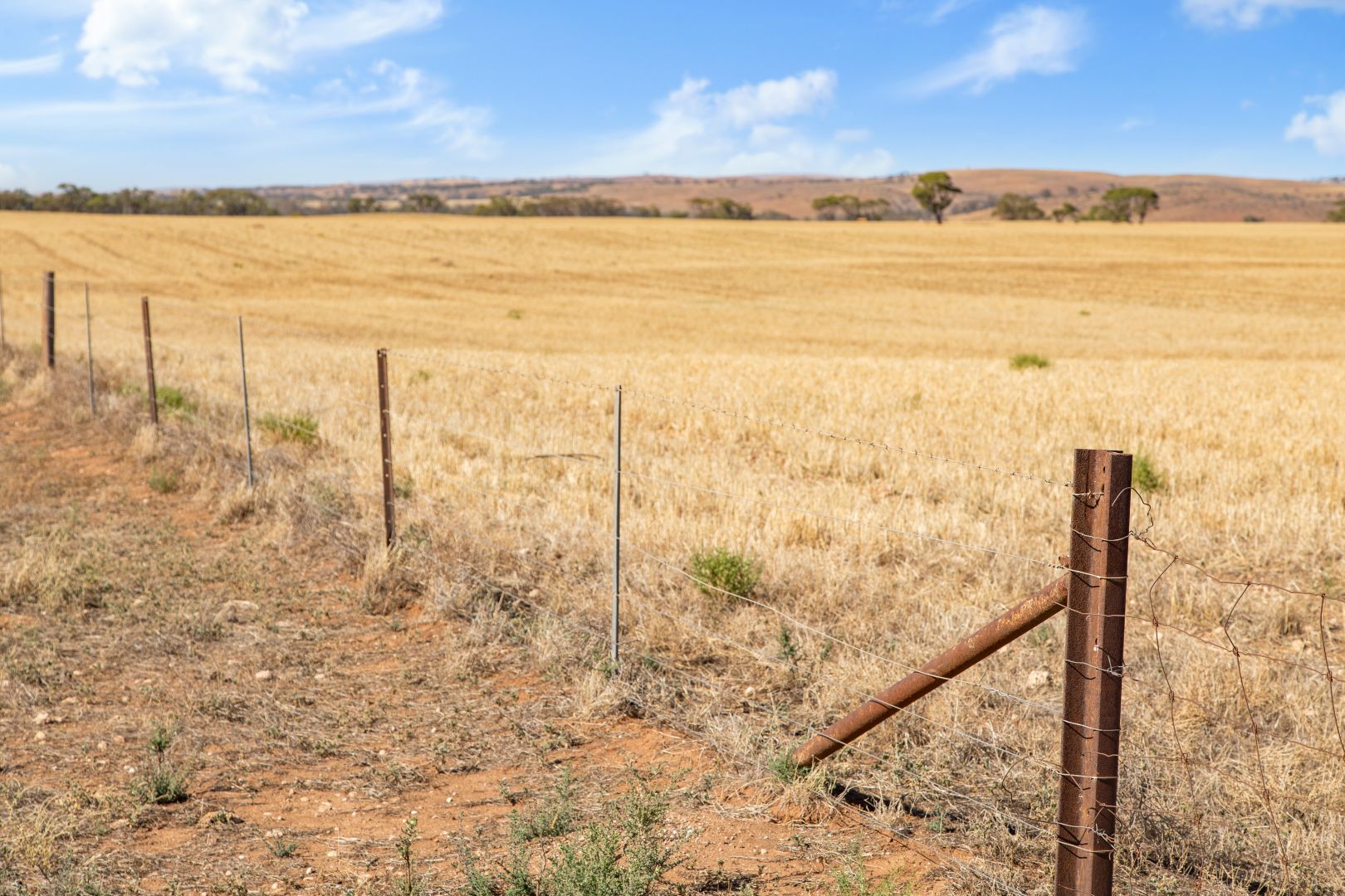 Lot 10 Sturt Highway, Truro SA 5356, Image 1