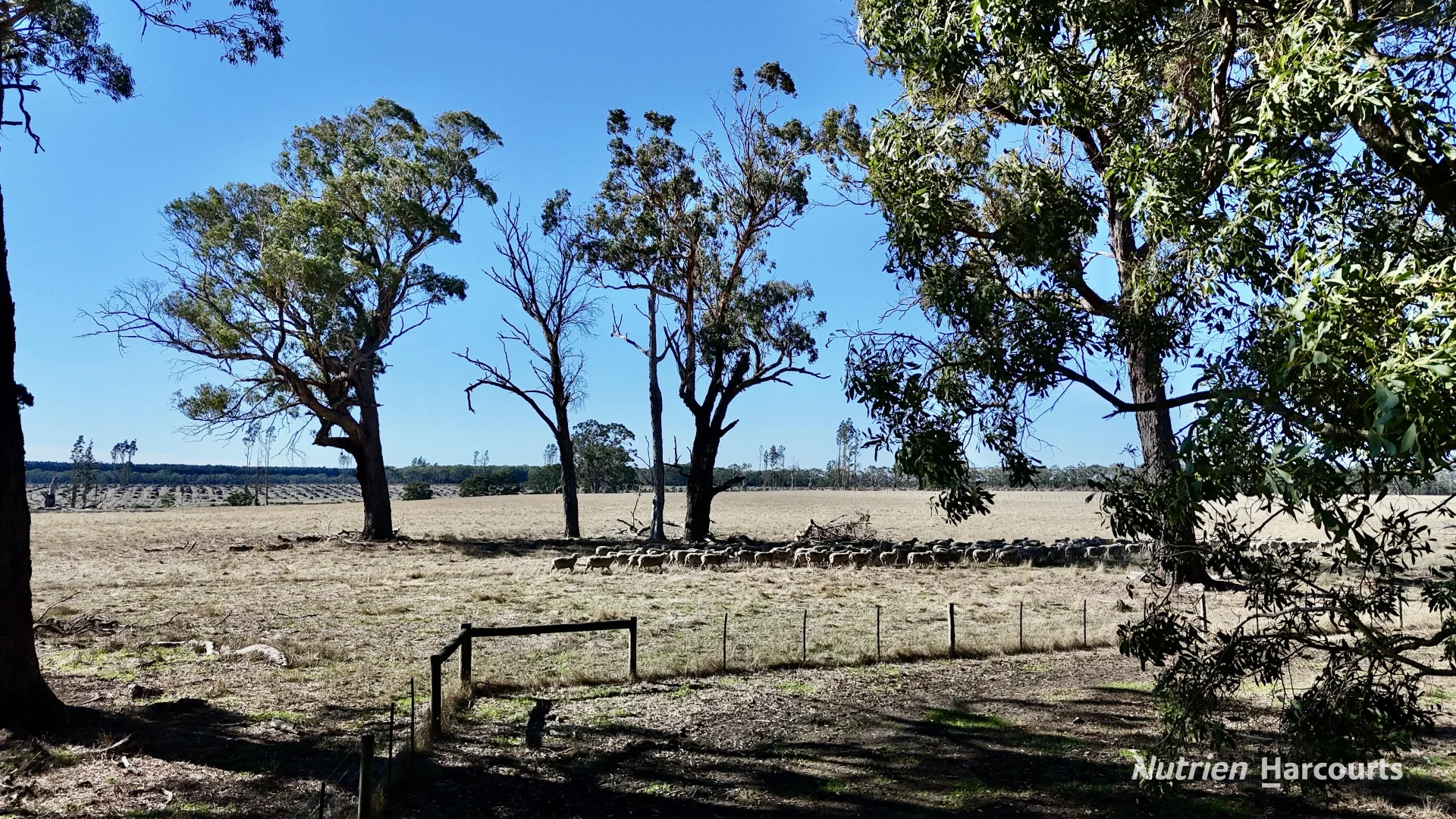 Additional image 4 of Allotment 39 Paynes Lane, Digby VIC 3309