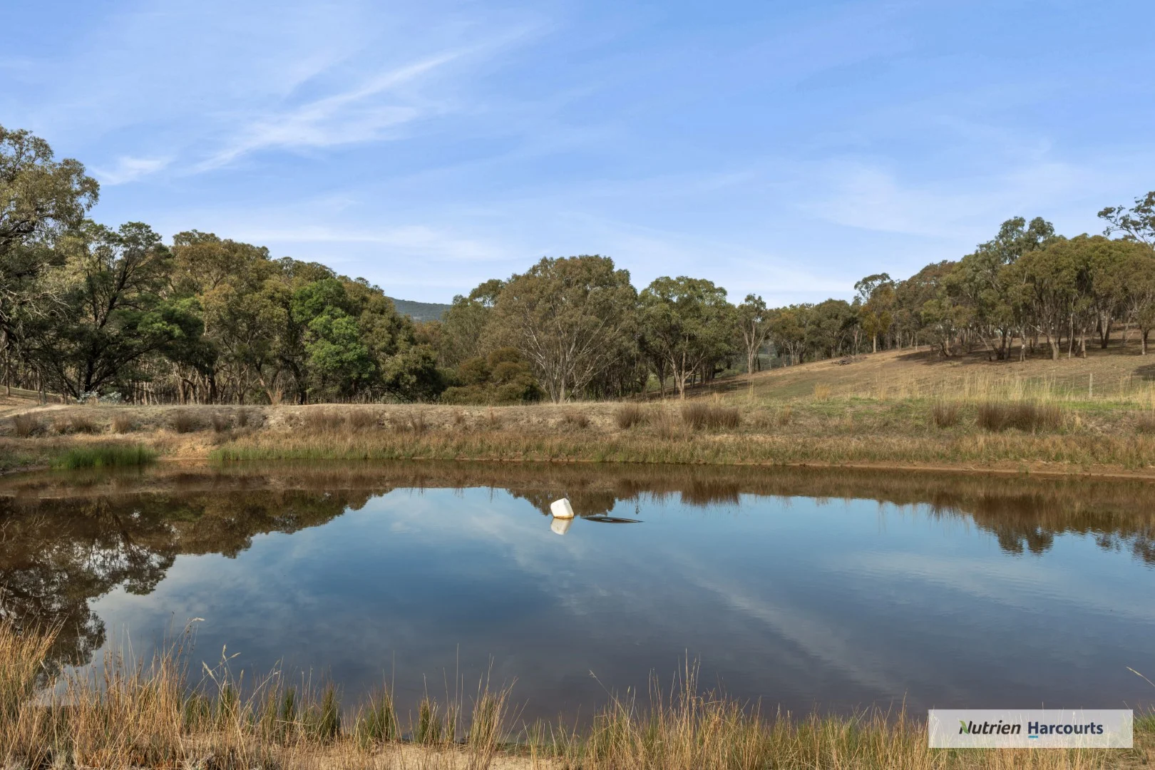 Additional image 17 of 310 Dockerys Road, Tallarook VIC 3659