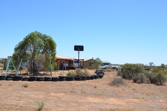 Picture of 127 Moorundie Road, FISHER SA 5354