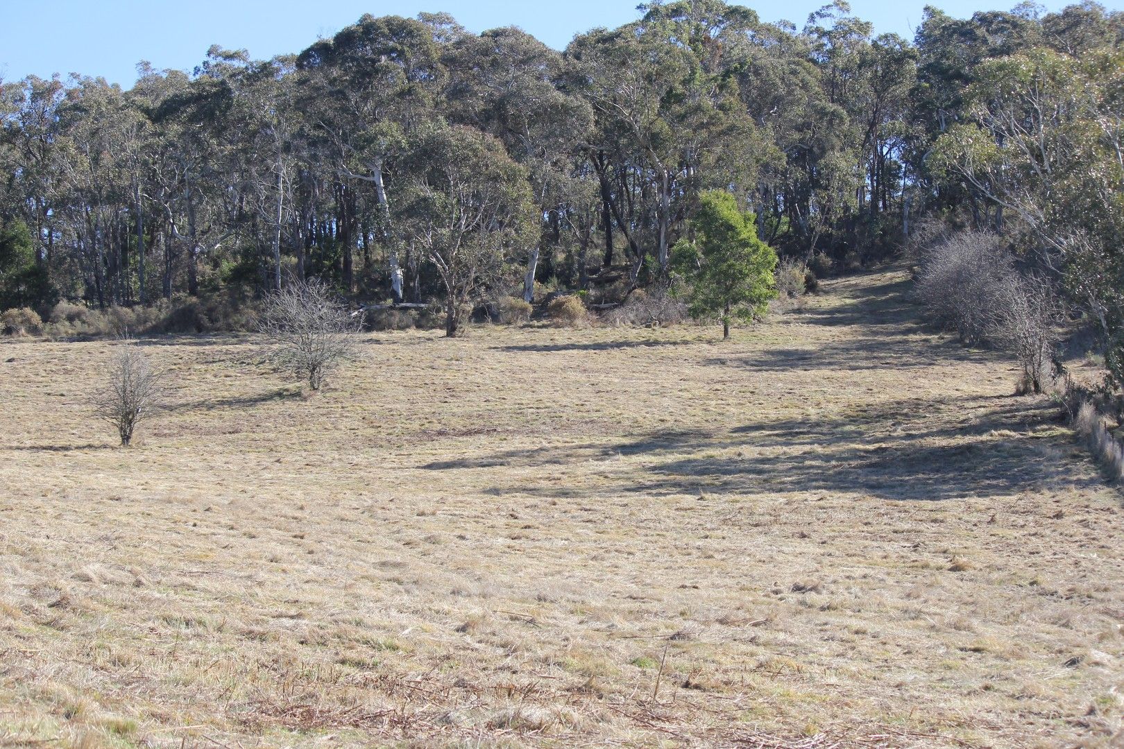 Lot 2 Old Western Road, Rydal NSW 2790, Image 0