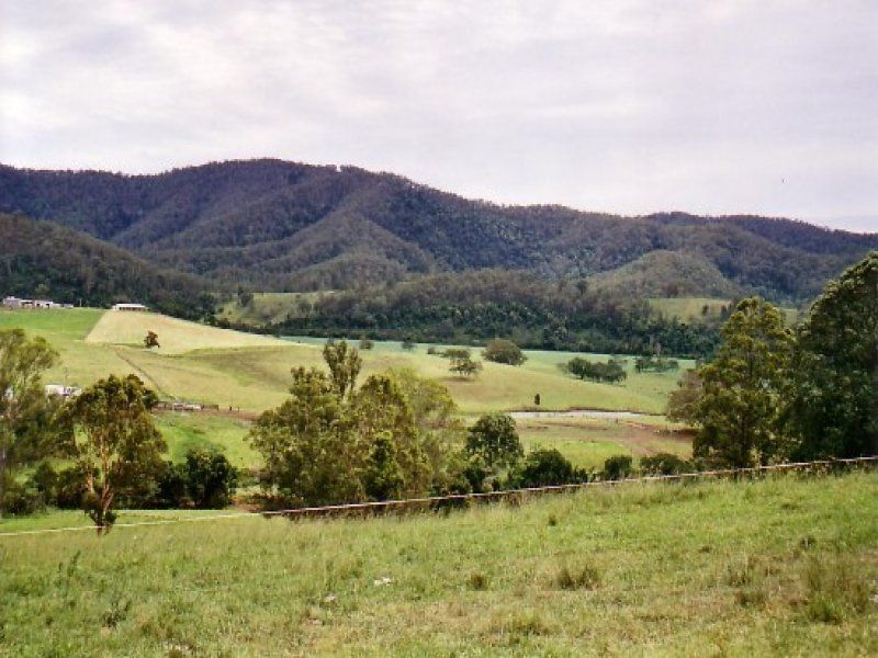 Long Flat NSW 2446, Image 1